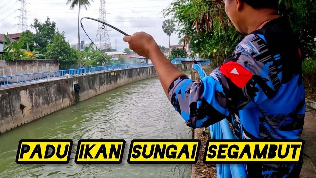 Memancing Jaring Di Area Segambut KL #gengdunia