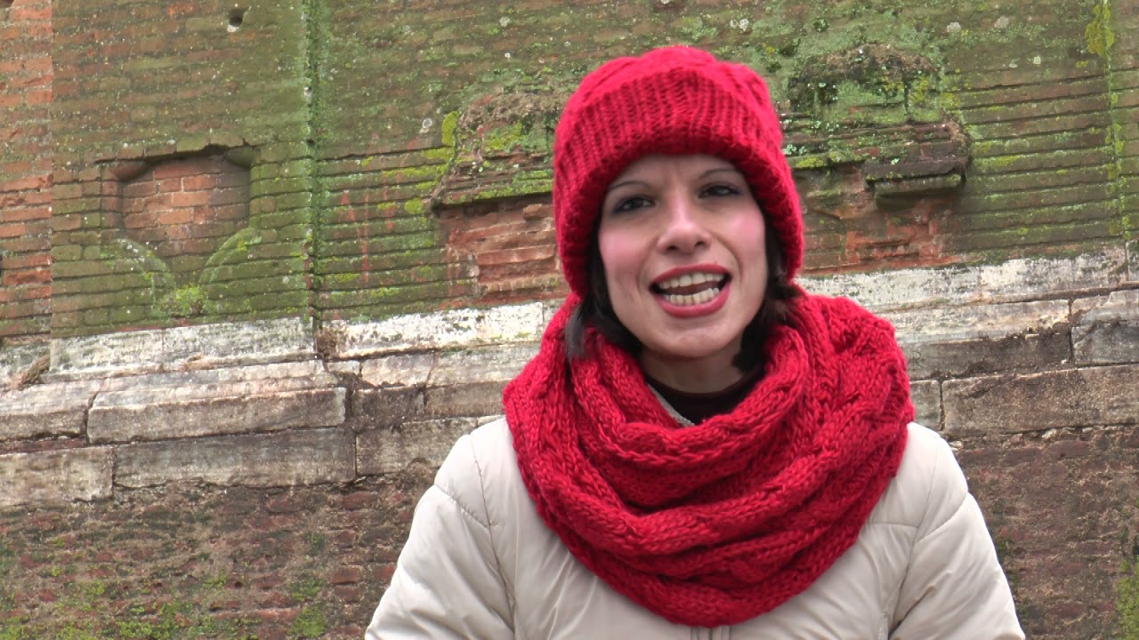 81 CORTEGANA EN PARADA Y FONDA