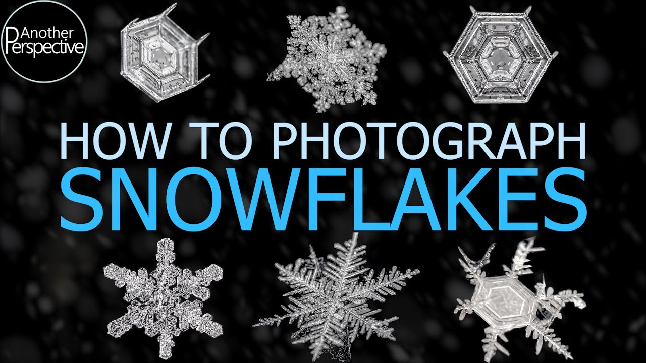 How to Photograph Snowflakes with High Details