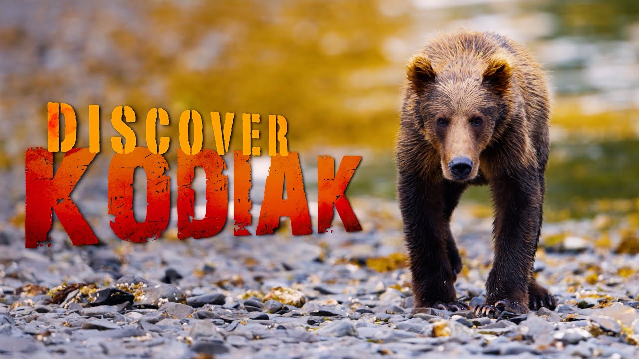 Discover Kodiak Island  - Alaska's BEST Place to Visit
