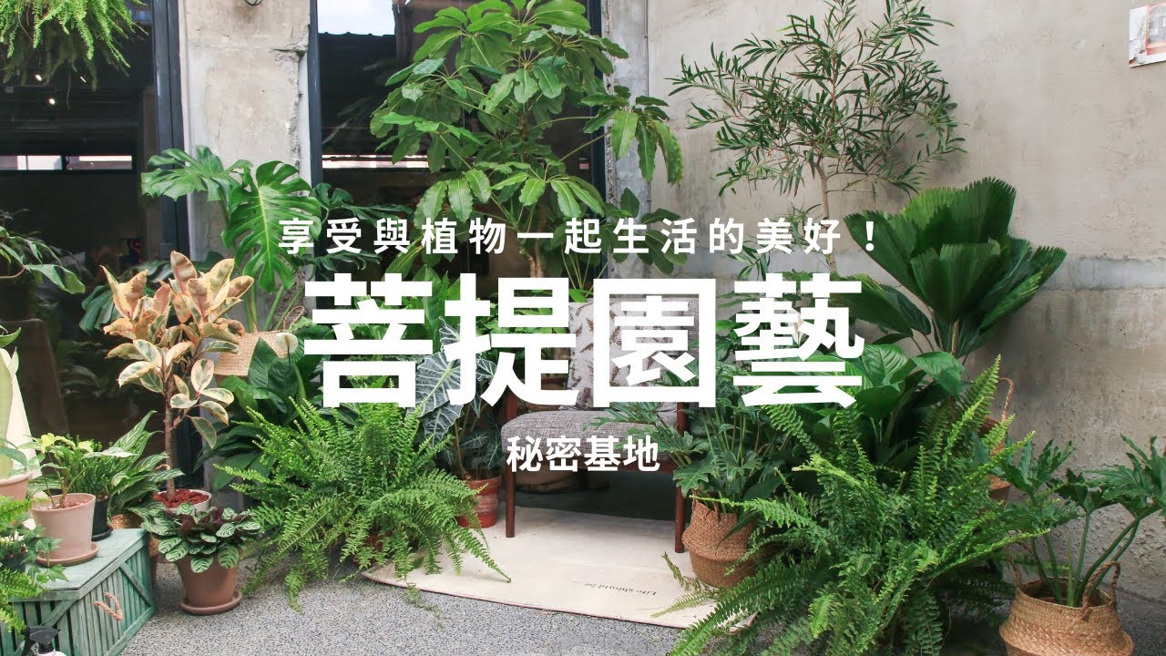 想找專家買植物？新竹《千坪植栽馴化基地》｜空間綠化必訪！｜陽台與室內植物、現貨供應、終生售後諮詢 陪你成為綠手指