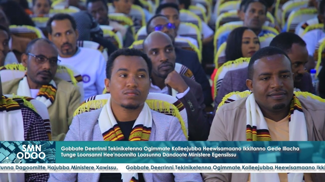 04/13/2016 SMN ODOO # ጳጉሜ 04, 2016 ዓ.ም የምሽት 02:30 ሲዳምኛ ዜና
