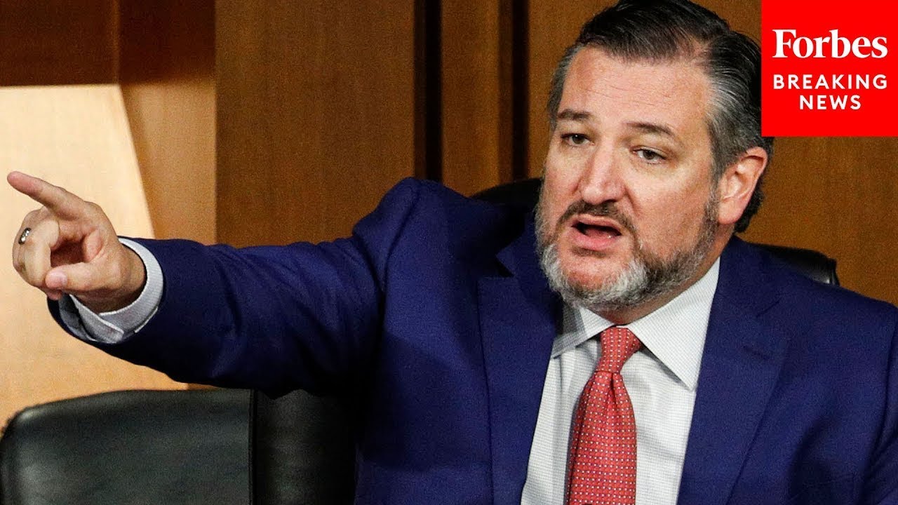 JUST IN: Ted Cruz Rips Into Facebook Executive At Senate Hearing