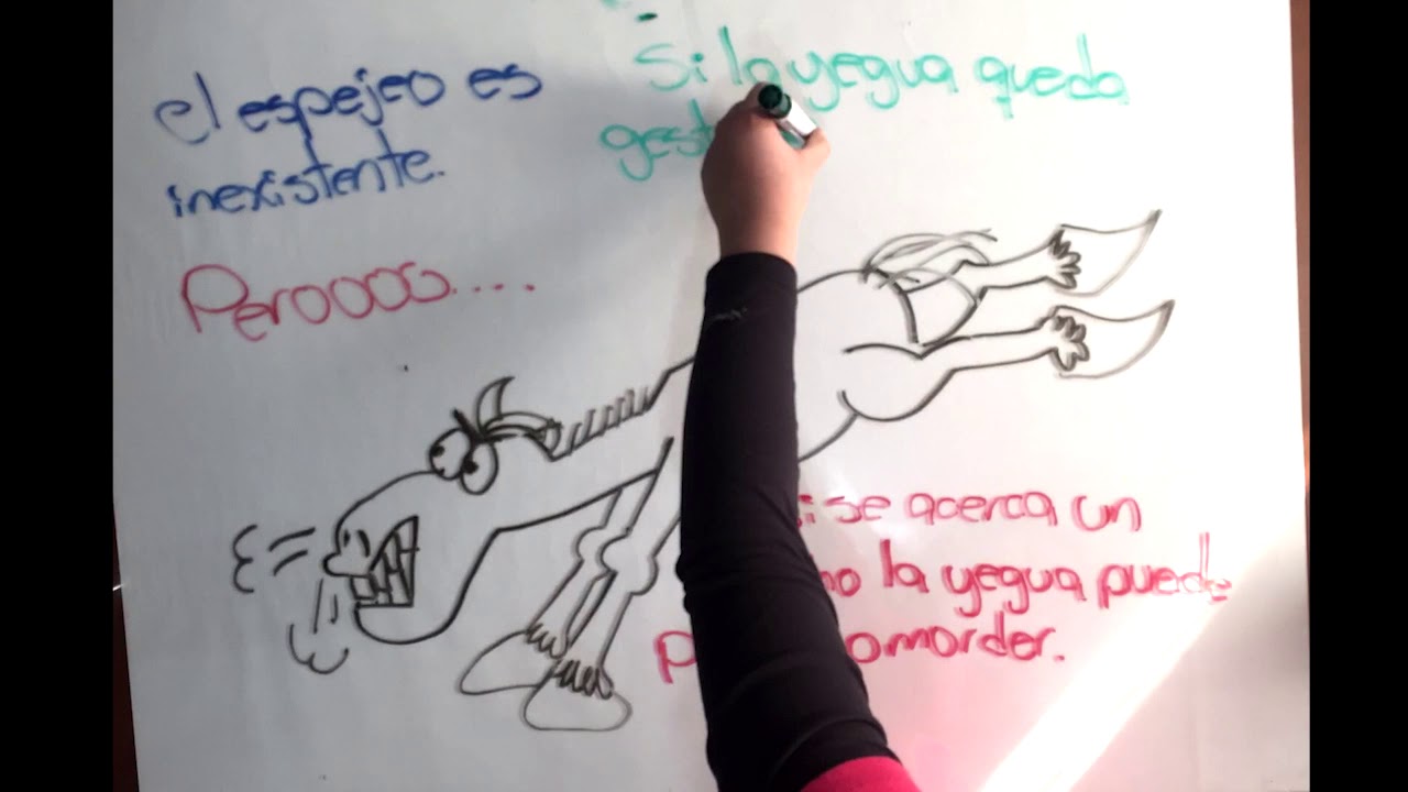 Ciclo Estral De La Yegua