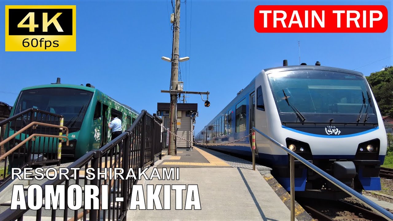 【Train Trip Japan】JR East Gonō Line Sightseeing train 