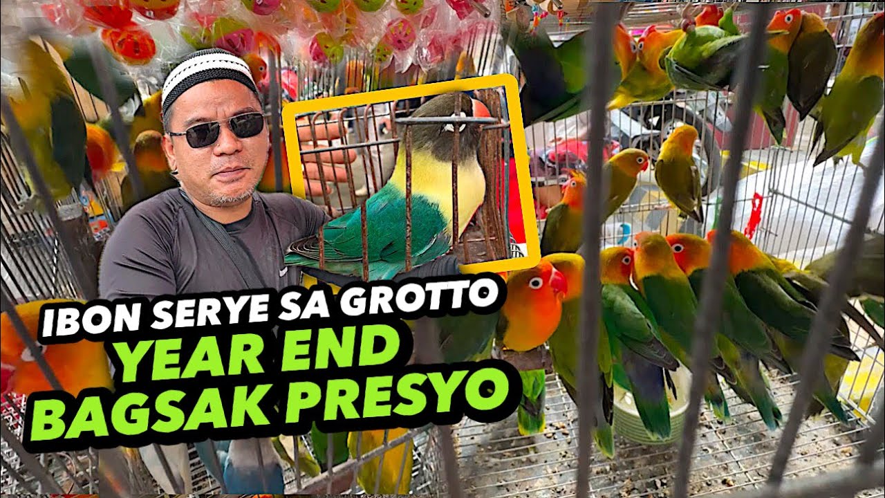 BAGONG TAON, BAGSAK PRESYO MGA IBON | GROTTO PET MARKET | DECEMBER 29, 2024
