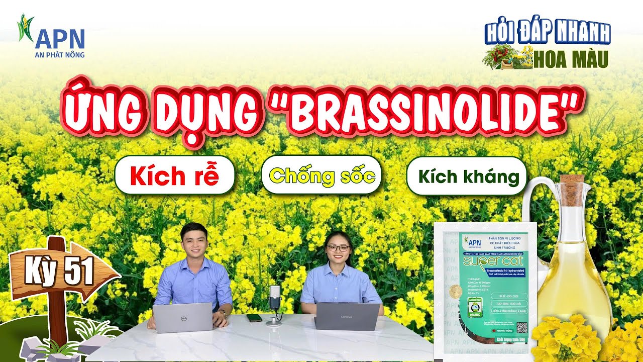 APN - CHẤT ĐIỀU HOÀ SINH TRƯỞNG THỰC VẬT 