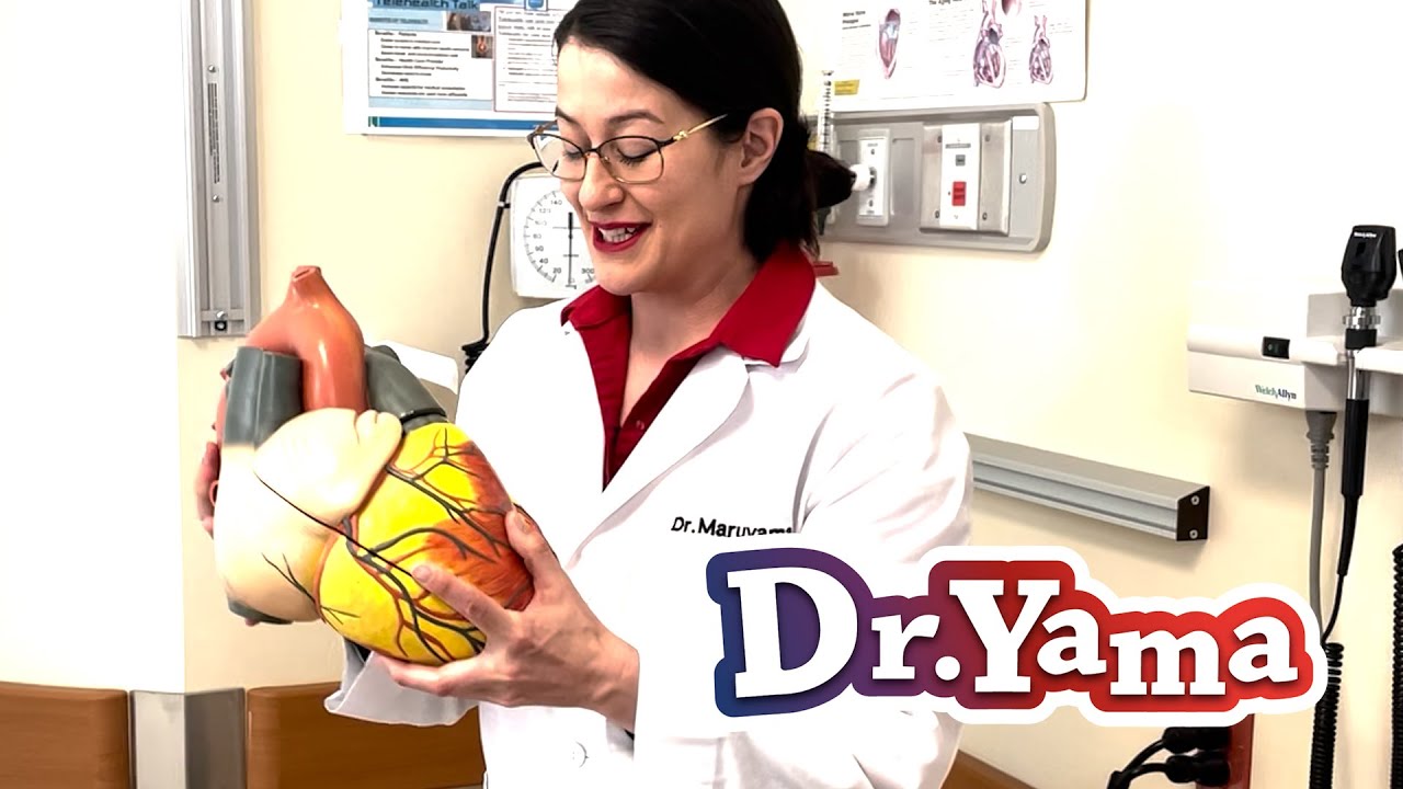 Listen to heart sounds, play with a stethoscope - Dr. Yama Medical Educational videos for children