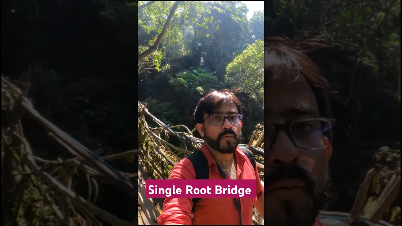 #cherrapunji#livingroot bridge#❤️#youtube short#viral#singleroot bridge#shorts#meghalayacaves