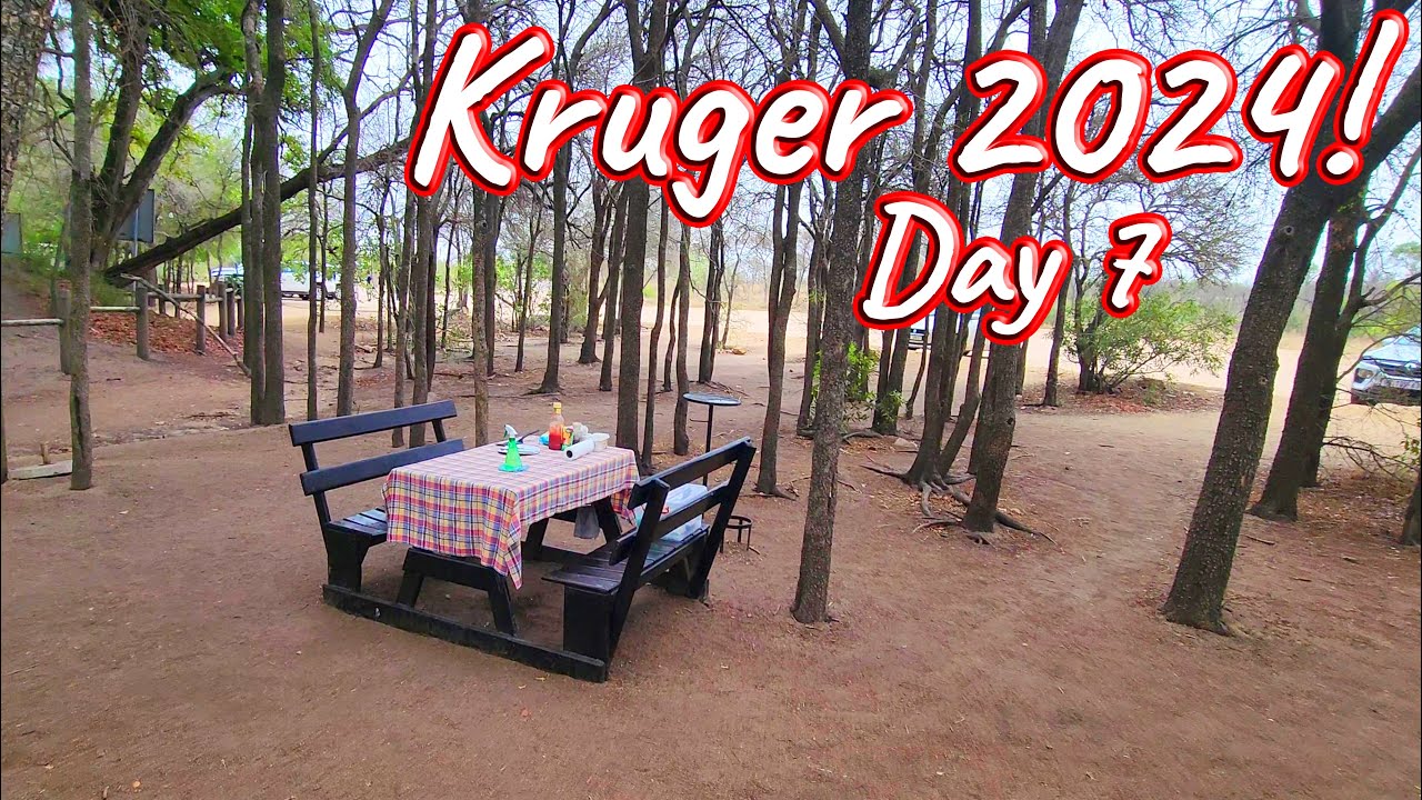 Day 7 – Kruger National Park! Ep 547