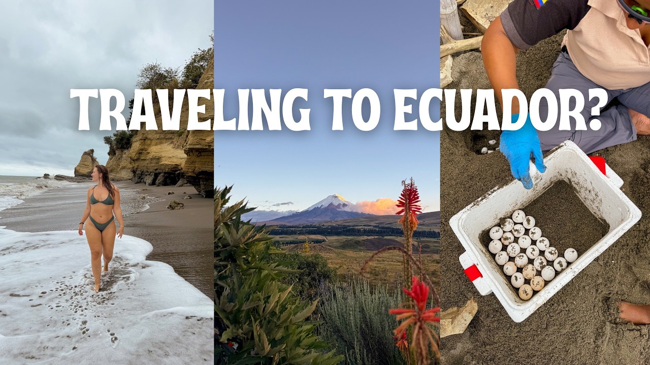 The Ultimate Ecuador Travel Guide | Safety, Public Transport, Money & What to Know