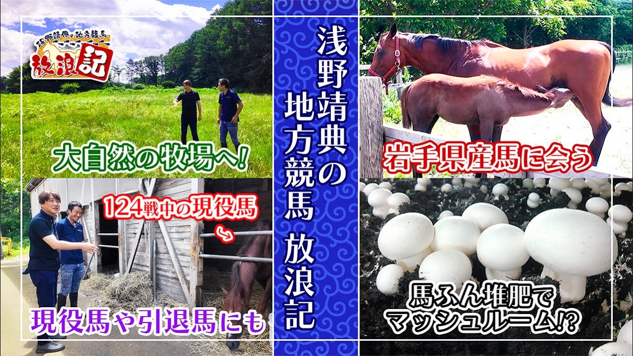 【地方競馬×旅！】浅野靖典 in 盛岡グレイトフルホースファーム（後編）