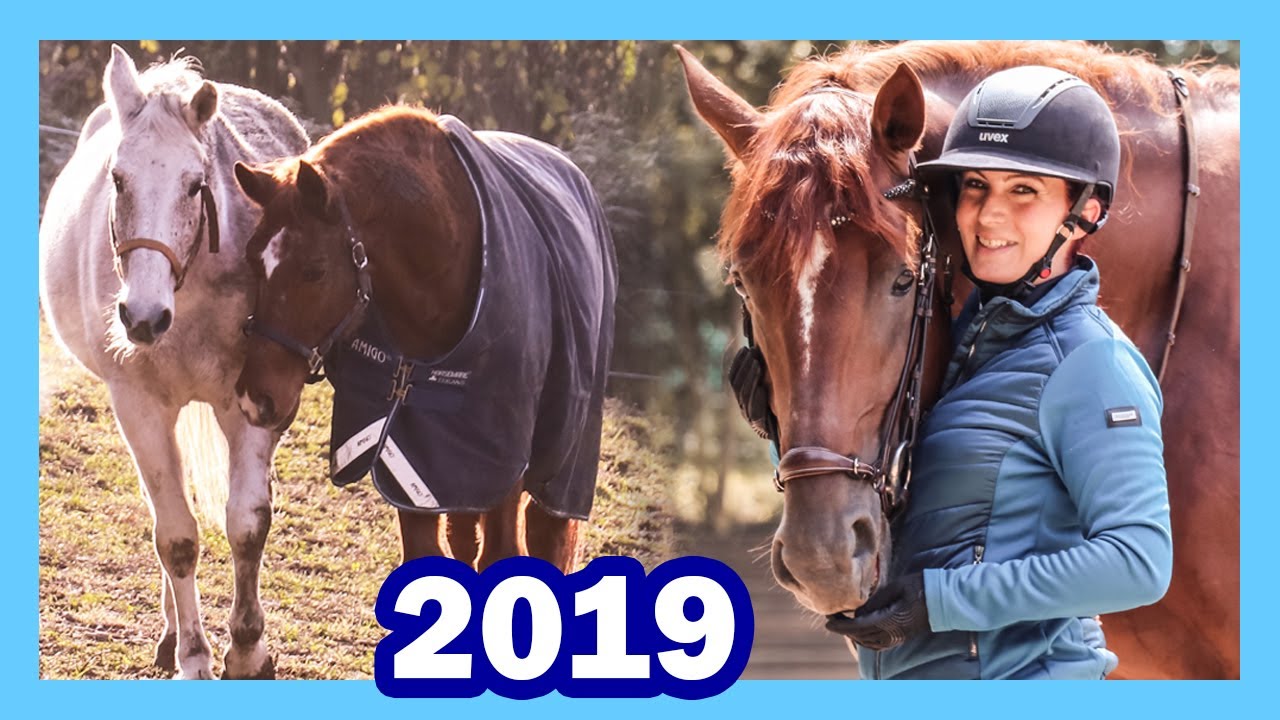 Das war unser Jahr 2019