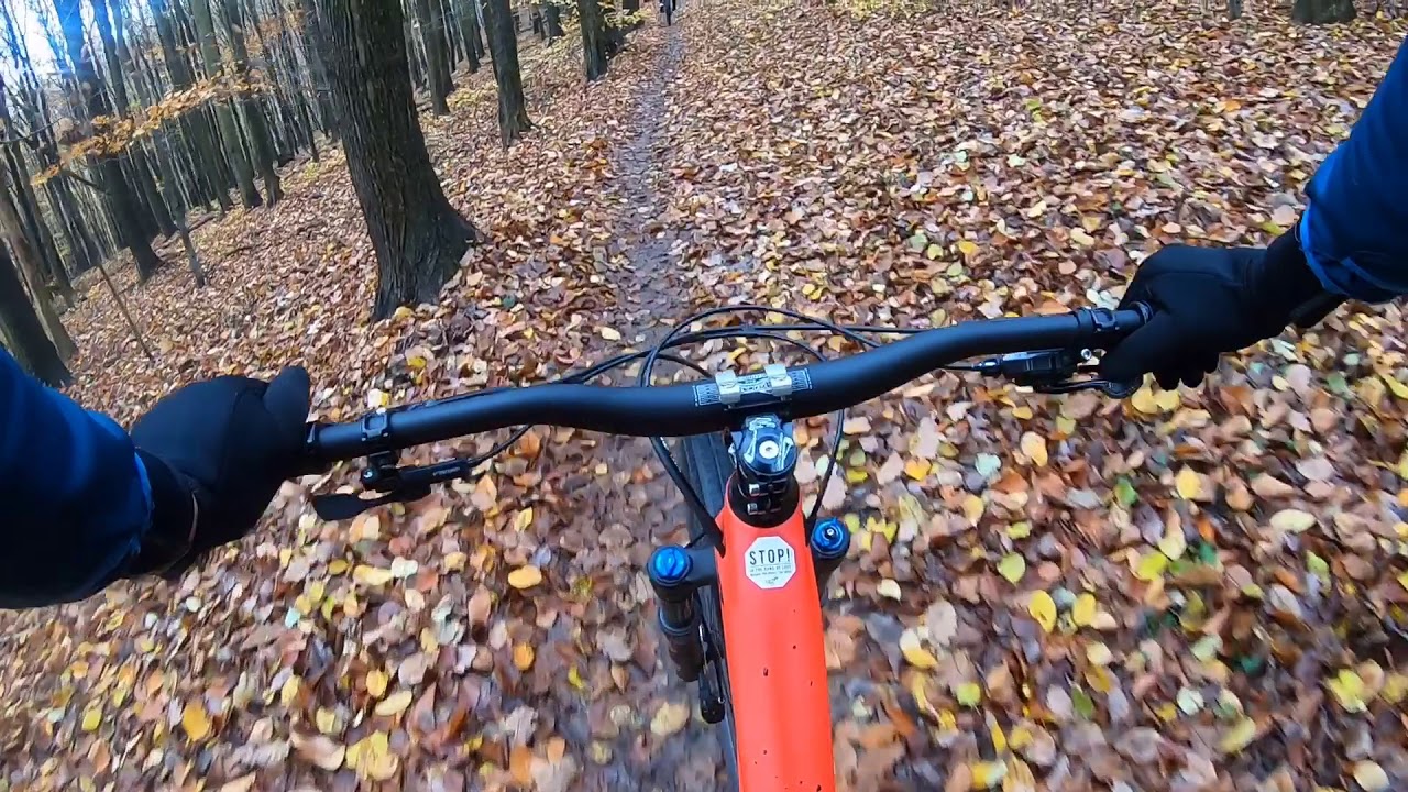 YT Jeffsy 29er Comp 2019