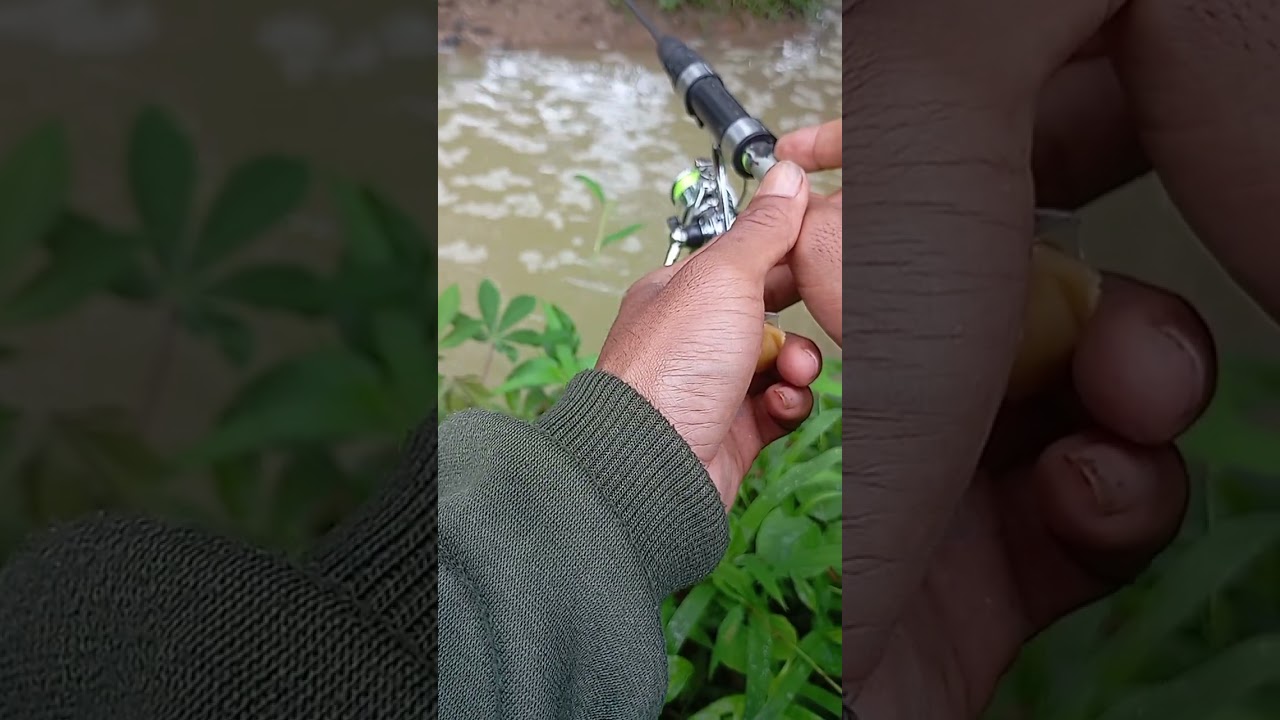 I am micro fishing in a small river,small fish.#fishing #microfhising #fishingvideo  