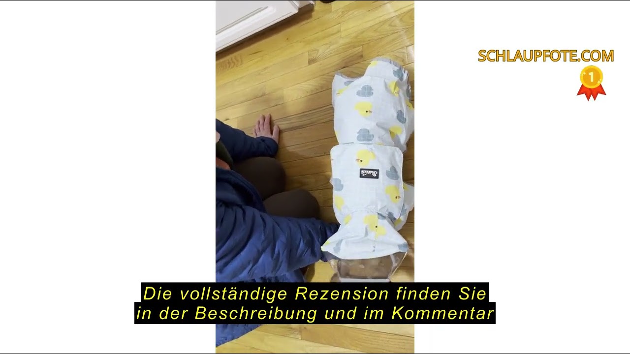 Produktbewertung SlowTon Regenmantel Hund wasserdicht, durchsichtige doppellagige Regenjacke Hund mi