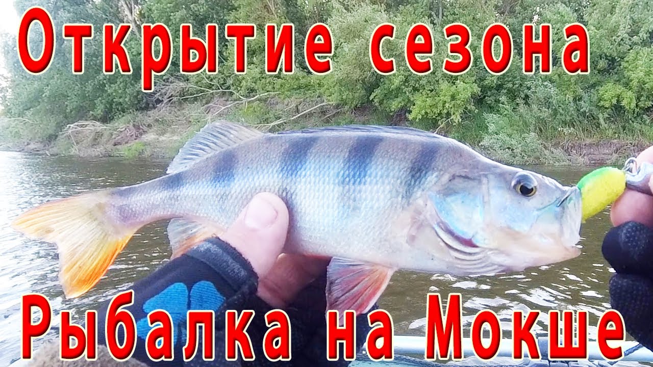 Рыбалка на реке Мокша. Открыли сезон 2023г.....
