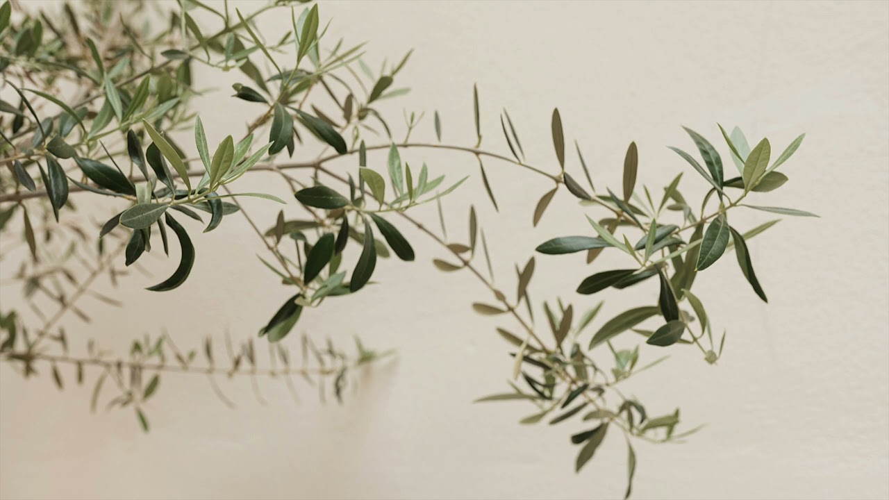 TV ART SCREENSAVER  4K | NEUTRAL TV BACKGROUND | SUMMER TV BACKGROUND SCREEN SAVER