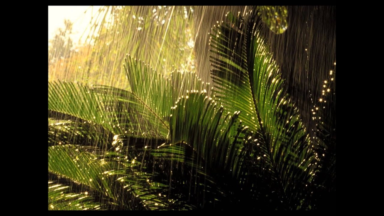 Josué Rodrigues - Não se pertube