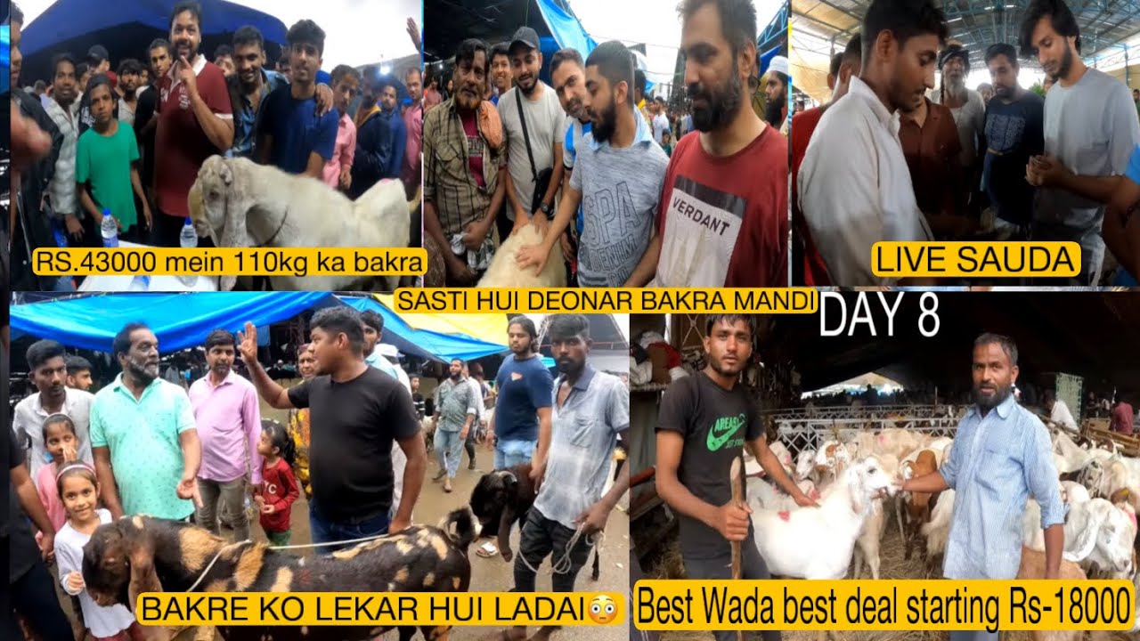 Deonar Bakra Mandi 2023 | Day 8 25/06/2023 Bakra Mandi Deonar | Live Sauda | sasti hui deonar mandi