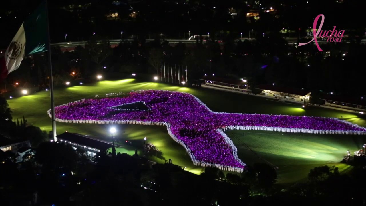 Lazo Rosa 2017