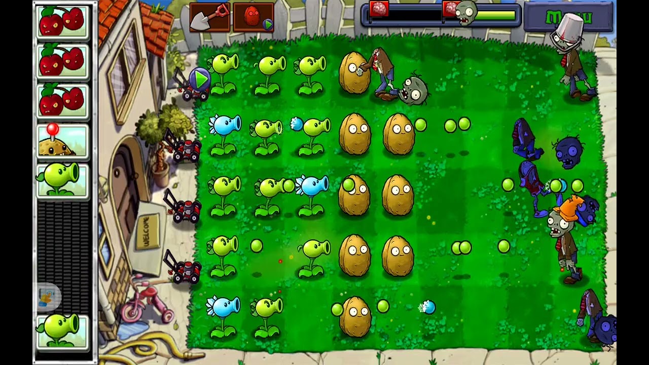Pvz