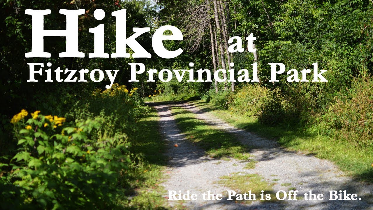 Hike at Fitzroy looking for wildlife -off the bike-  With bear avoidance tips