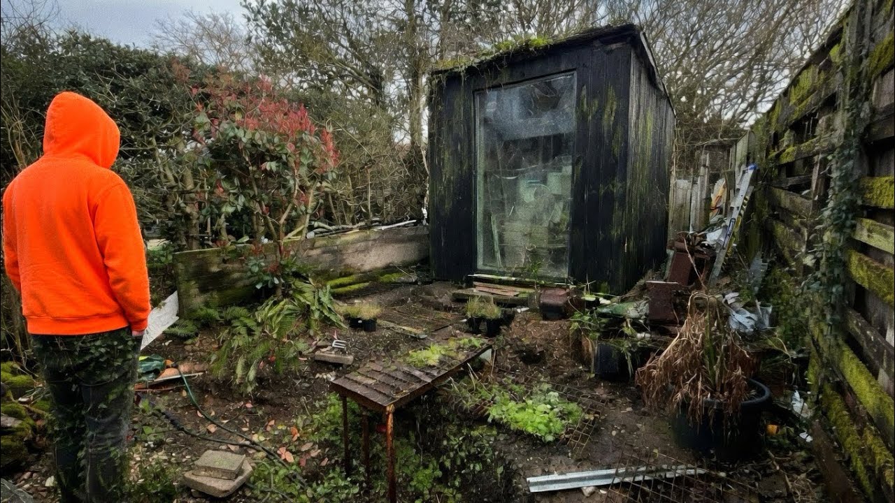 Преображение заброшенного сада