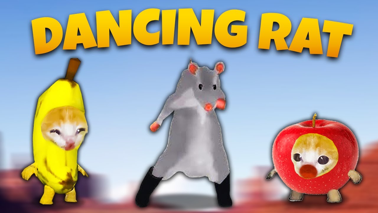 Dancing Rat MEME: Banana Cat Can&rsquo;t Stop Dancing! 🐱 Banana Cat Compilation | Cat Crying MEME 😿