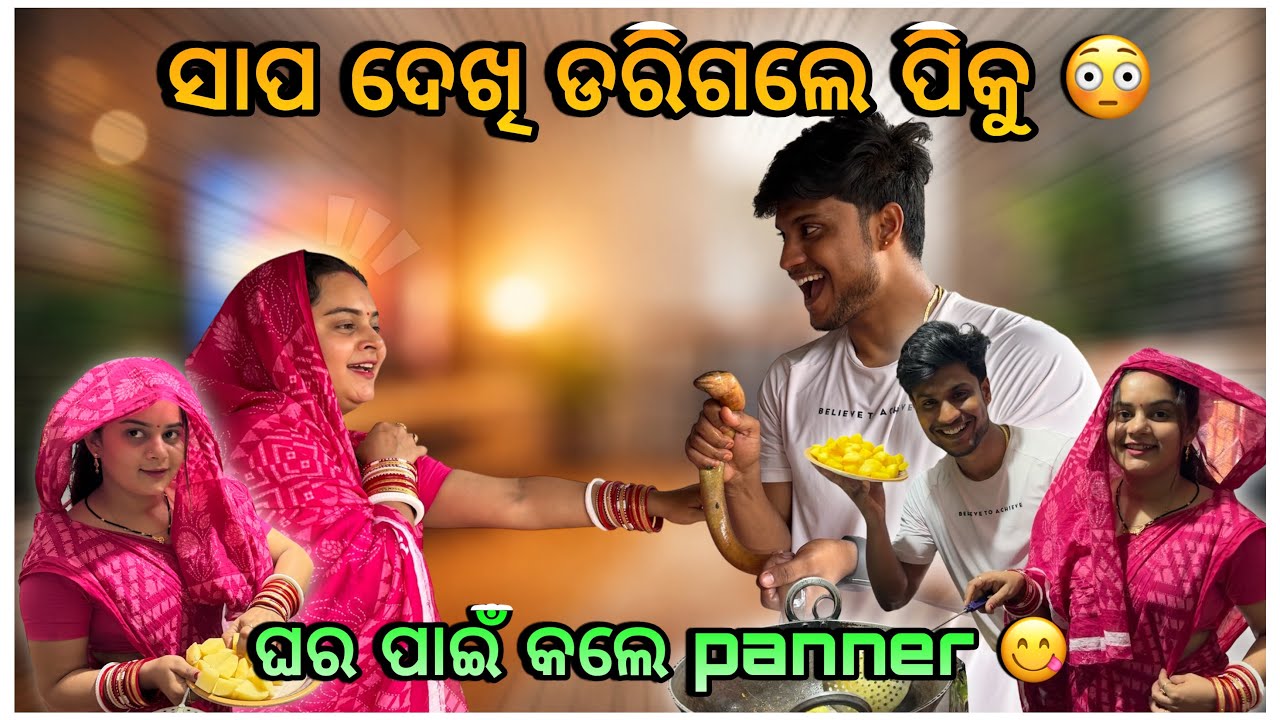 ସାପ ଦେଖି ଡରିଗଲେ ପିକୁ 🐍😱 || ଘର ପାଇଁ କଲେ panner 🍛 || @pradoslifestyle 🤳🤳