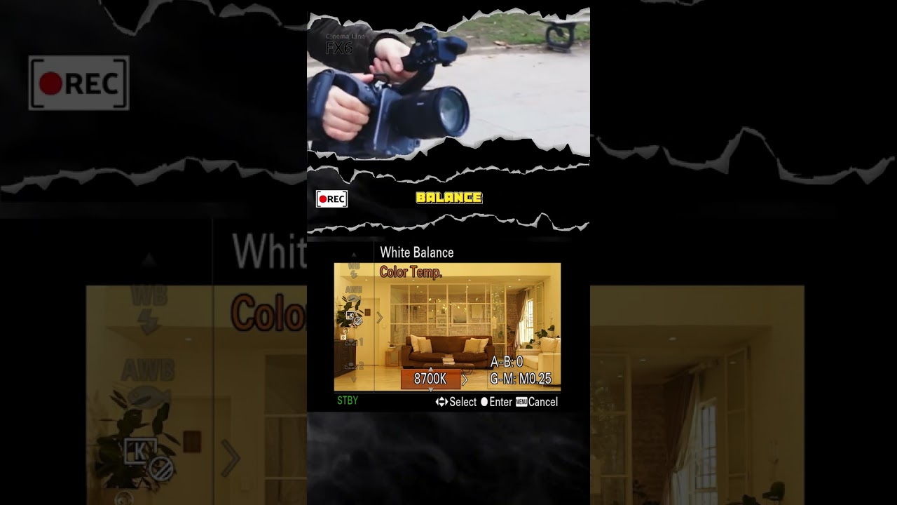 Auto White Balance is not normally a great idea, Jacques Crafford explains why 