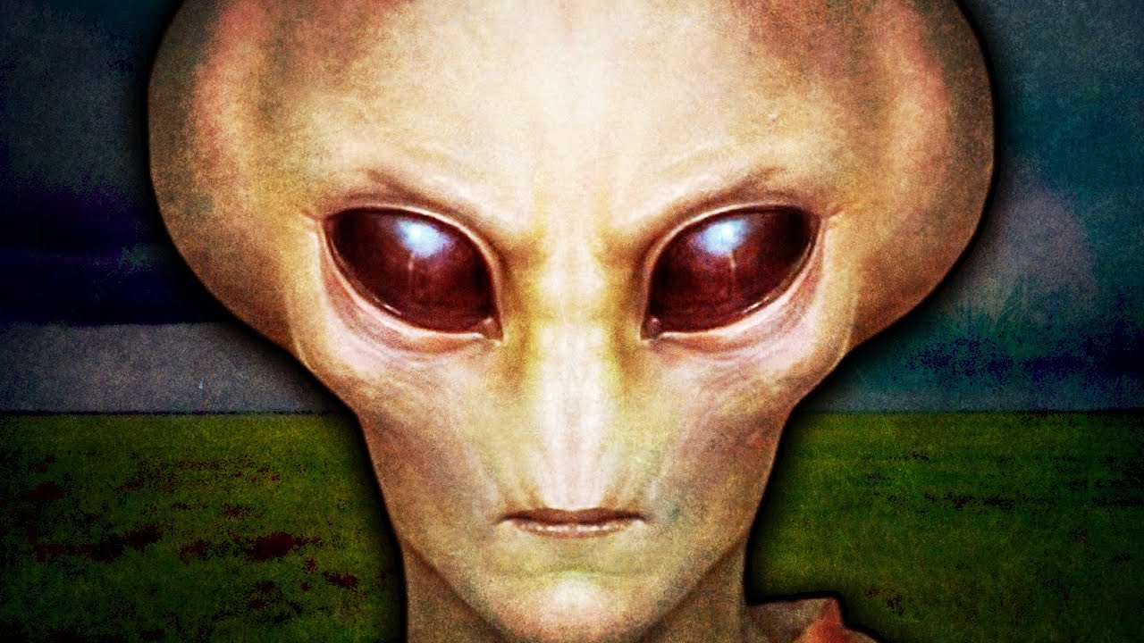 4chan Miami Mall Alien Incident Survivor Leaks Secrets