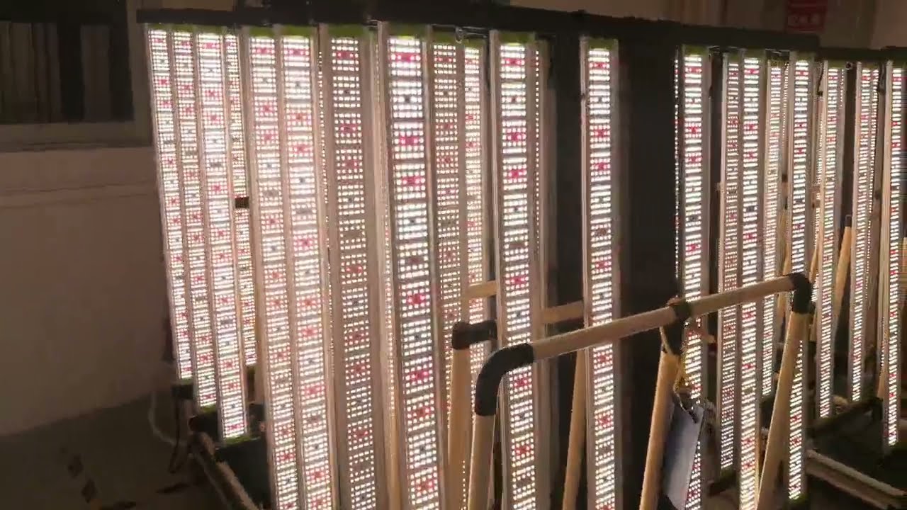 Ecospeed led grow lights.always the way to be better