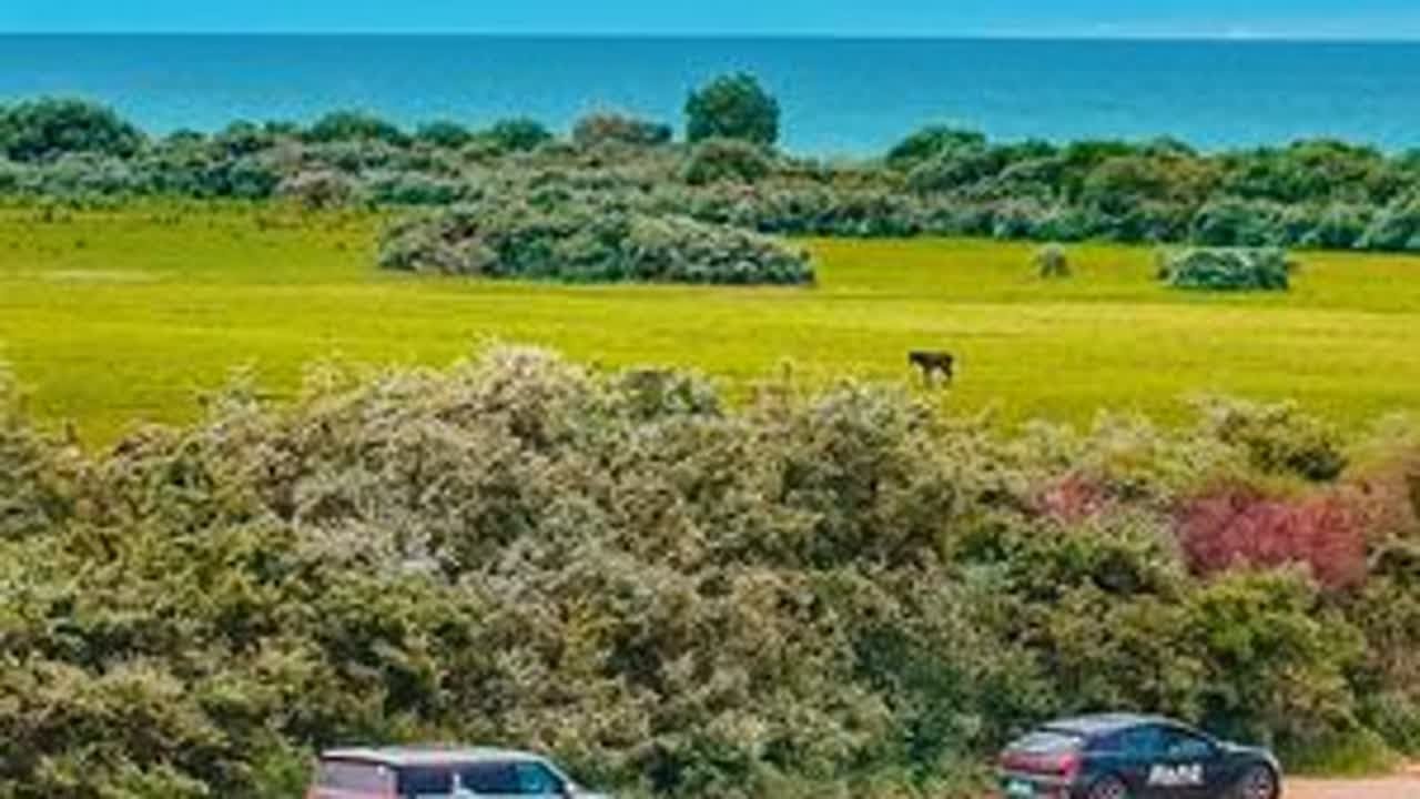 极氪出发探寻璀璨丝路3——吉尔吉斯斯坦，我认为最美的一个国家，有山，有水，有草原，有牛羊，有湖泊，有雪山，号称中亚的小瑞士。我最喜欢的还是伊塞克湖，落入凡间的明珠，它是世界上最深的高山湖泊，储水...