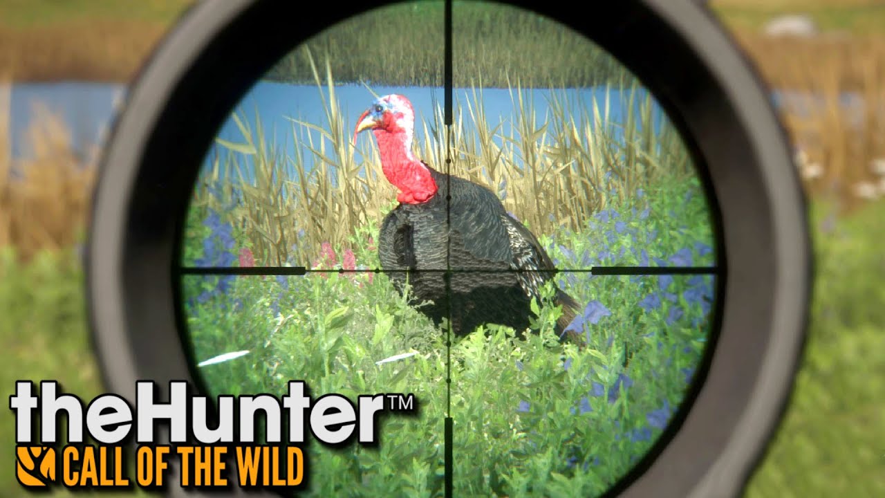 Myślał indyk o niedzieli... | theHunter: Call of the Wild (#68)