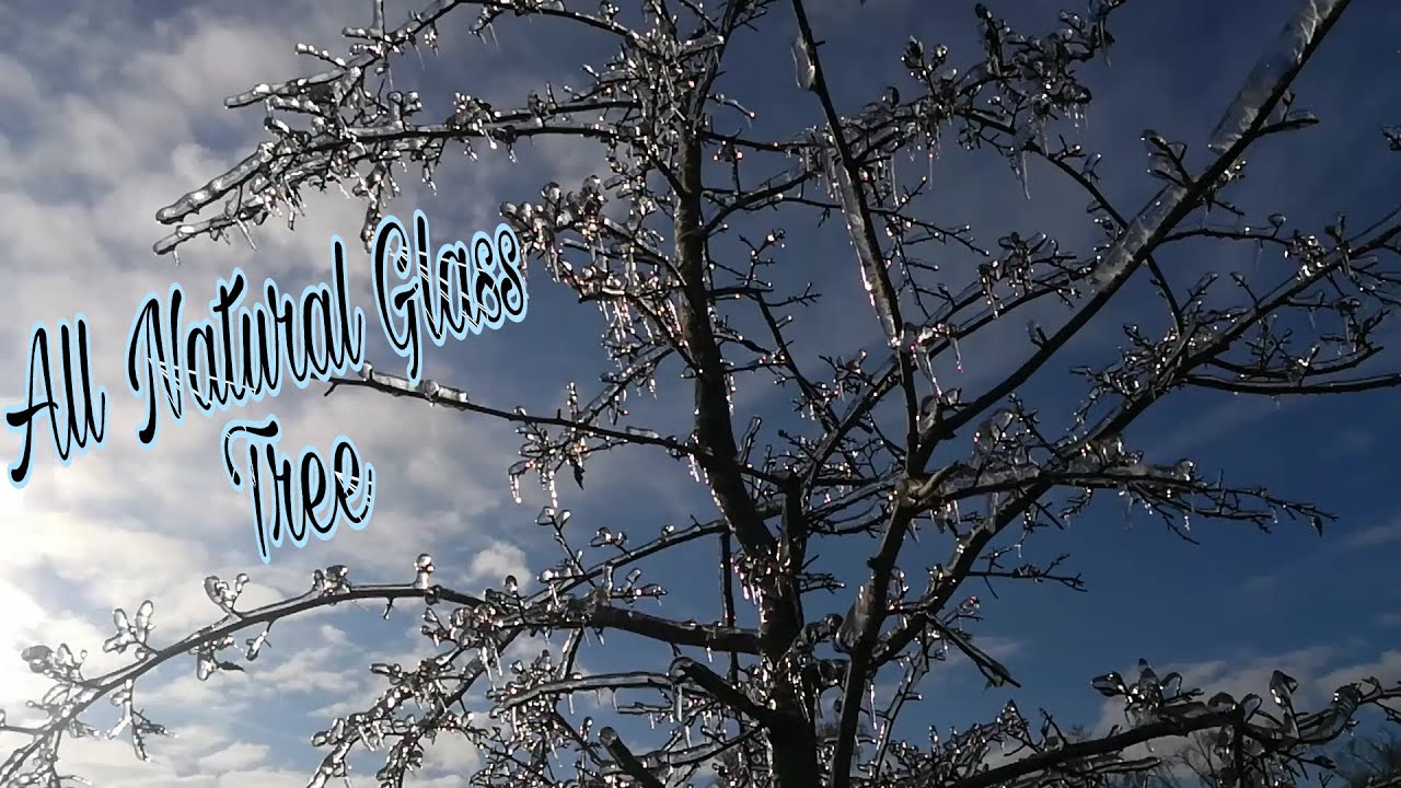 ALL NATURAL GLASS TREES & BUSHES  
