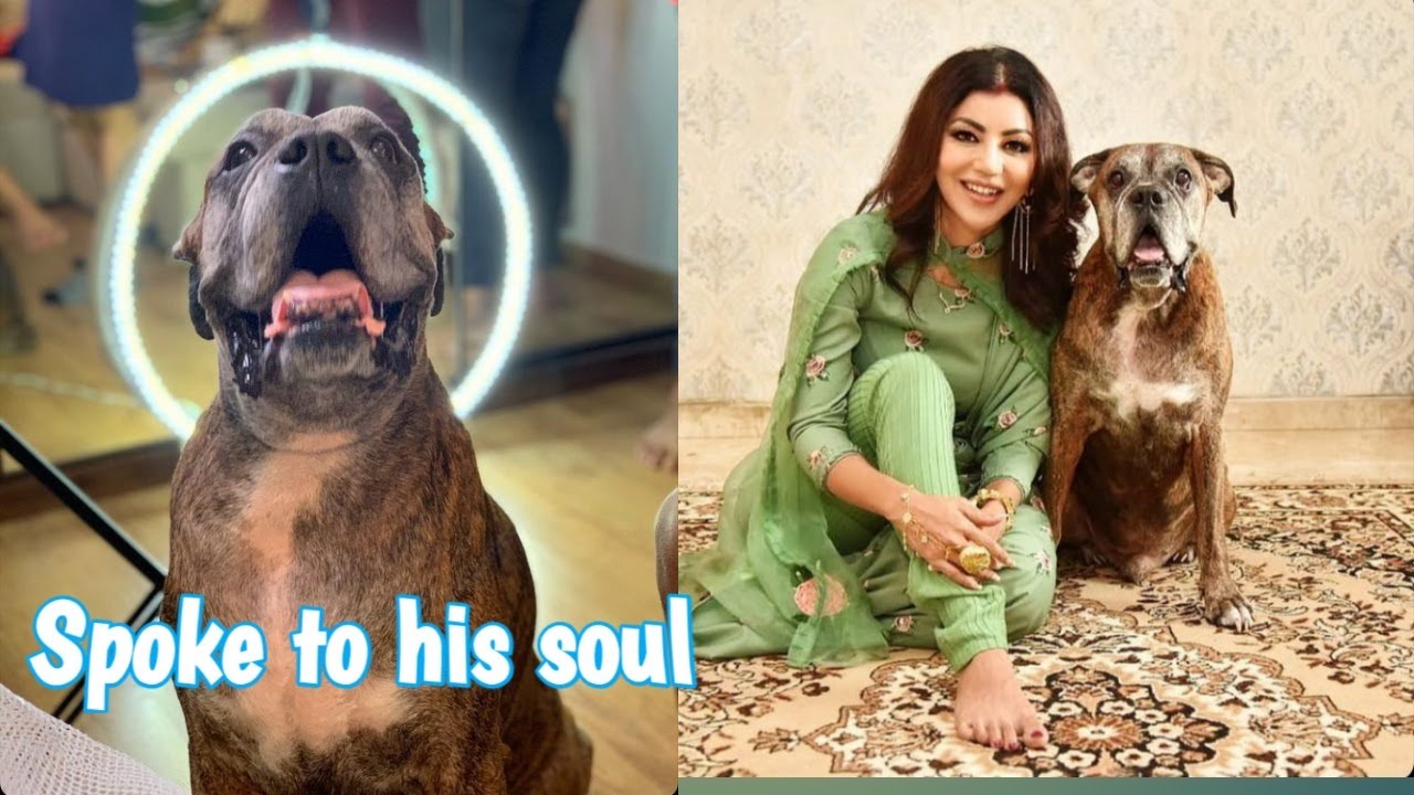 Spoke to an animal communicator | couldn’t control my tears | HINDI | Debina Decodes |