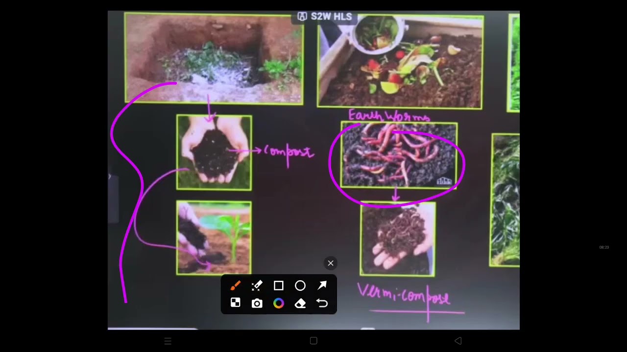 Improvement in food resources part II class 9