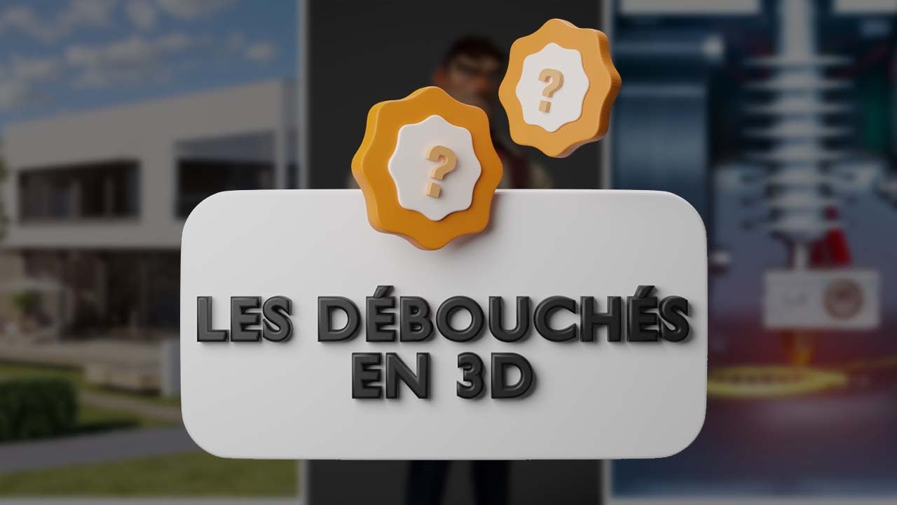 LES DEBOUCHÉ EN 3D - SALAIRE + LOGICIEL