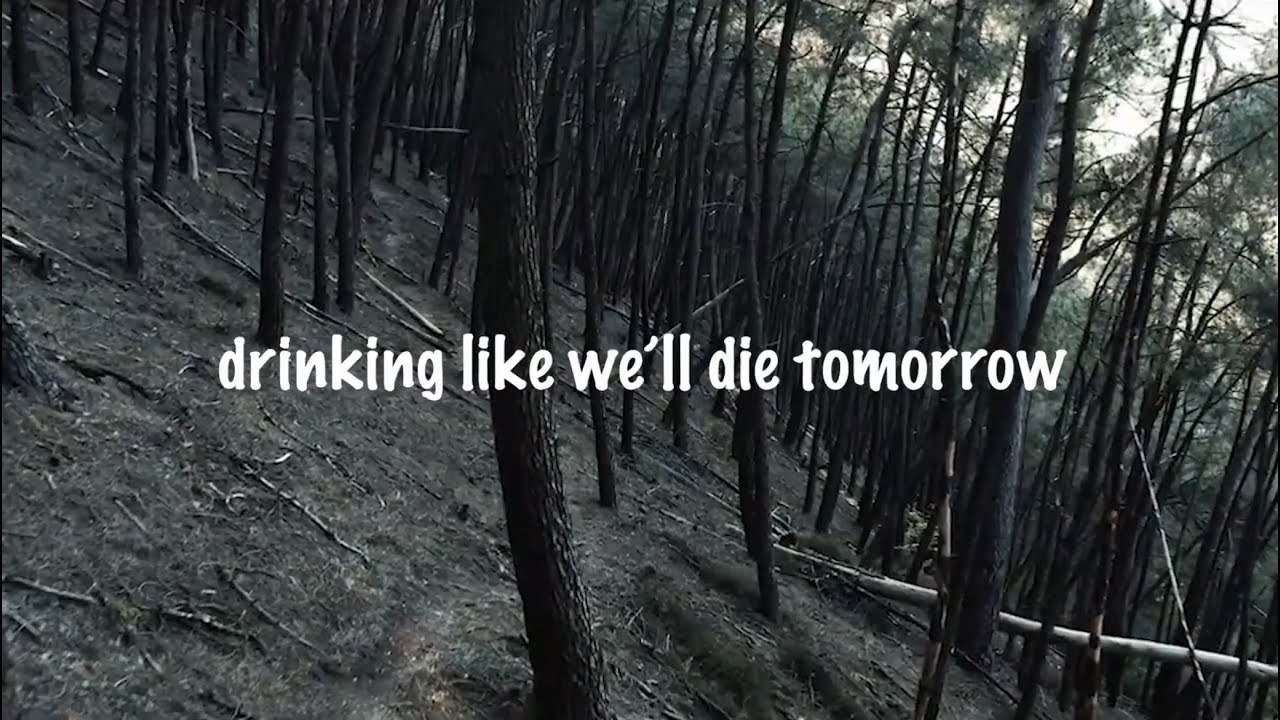 Dinic - DRINKING LIKE WE'LL DIE TOMORROW (Official Lyric Video)
