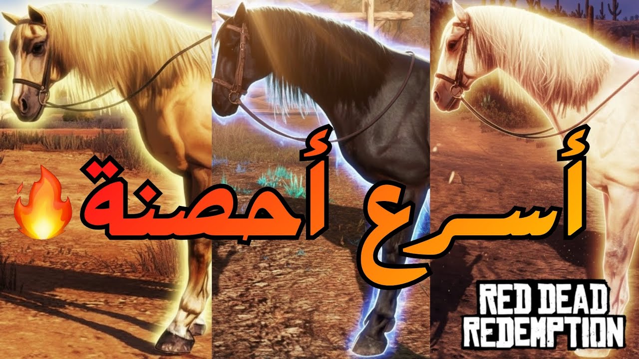 أفضل3 أحصنة فـ ريد ديد 1 أماكنها وكيف نجيبها! 🔥🐎 | RDR1