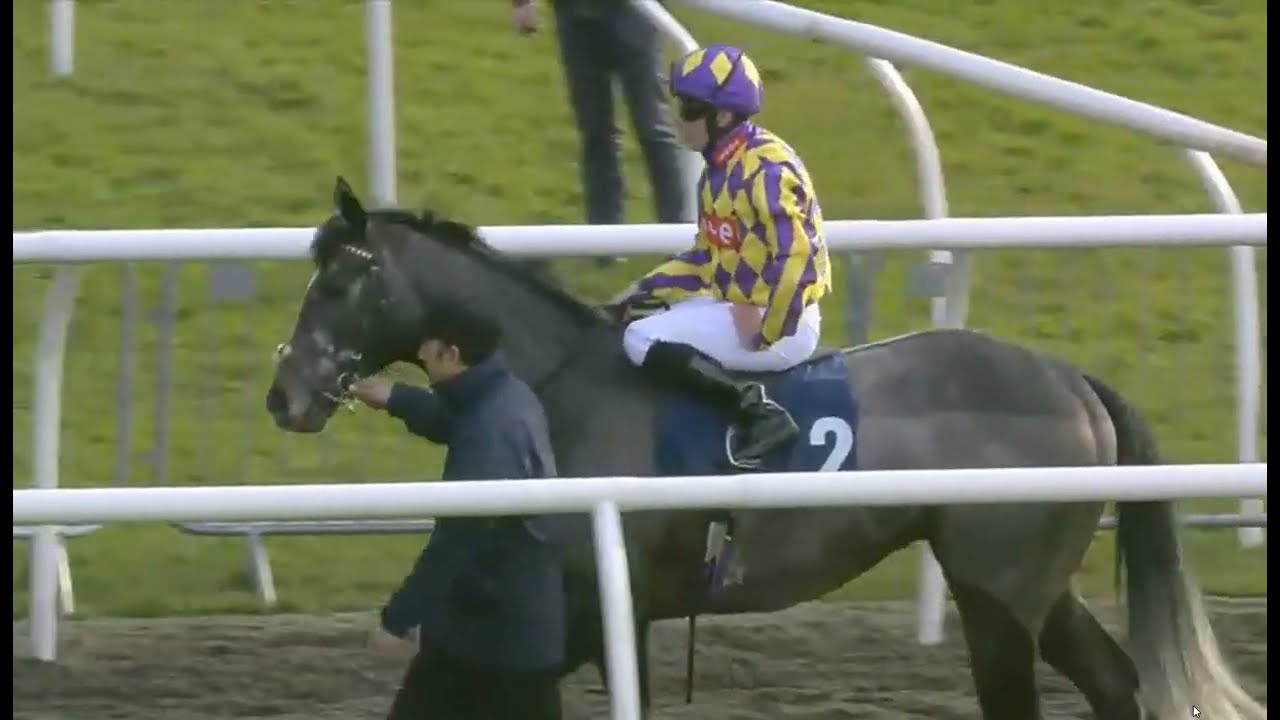 WHAT HAPPENED AT THE STARTING GATE ?? Race 5 - Lingfeild - UK  31 JAN  2026. PLEASE COMMENT!!