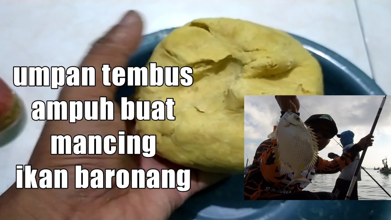 Umpan ampuh untuk ikan baronang || rabbitfish