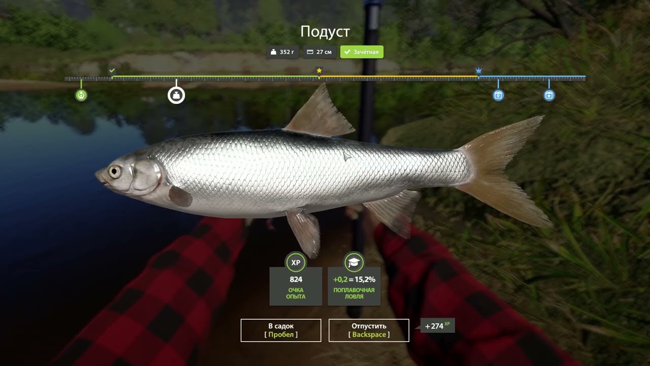 Рибалка на р.Вьюнок,  ловля  леща, та подуста