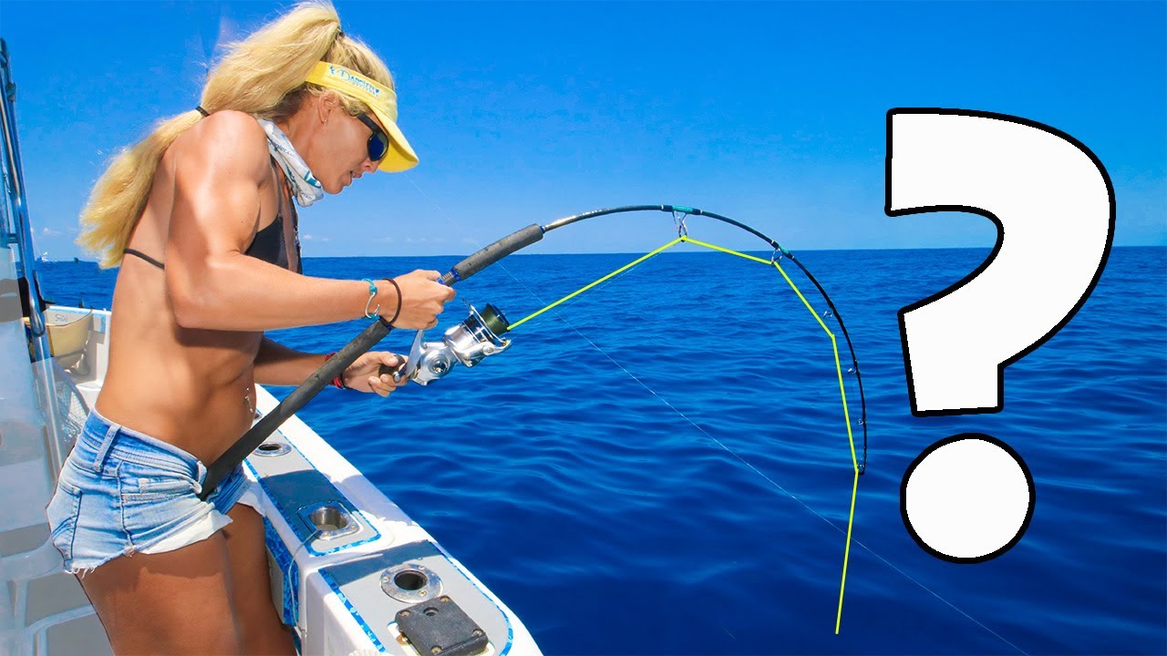 Unexpected GIANT CATCH Deep Sea Wreck Fishing!