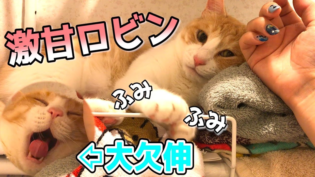 お気に入りの場所でリラックスしすぎて赤ちゃんになる次男