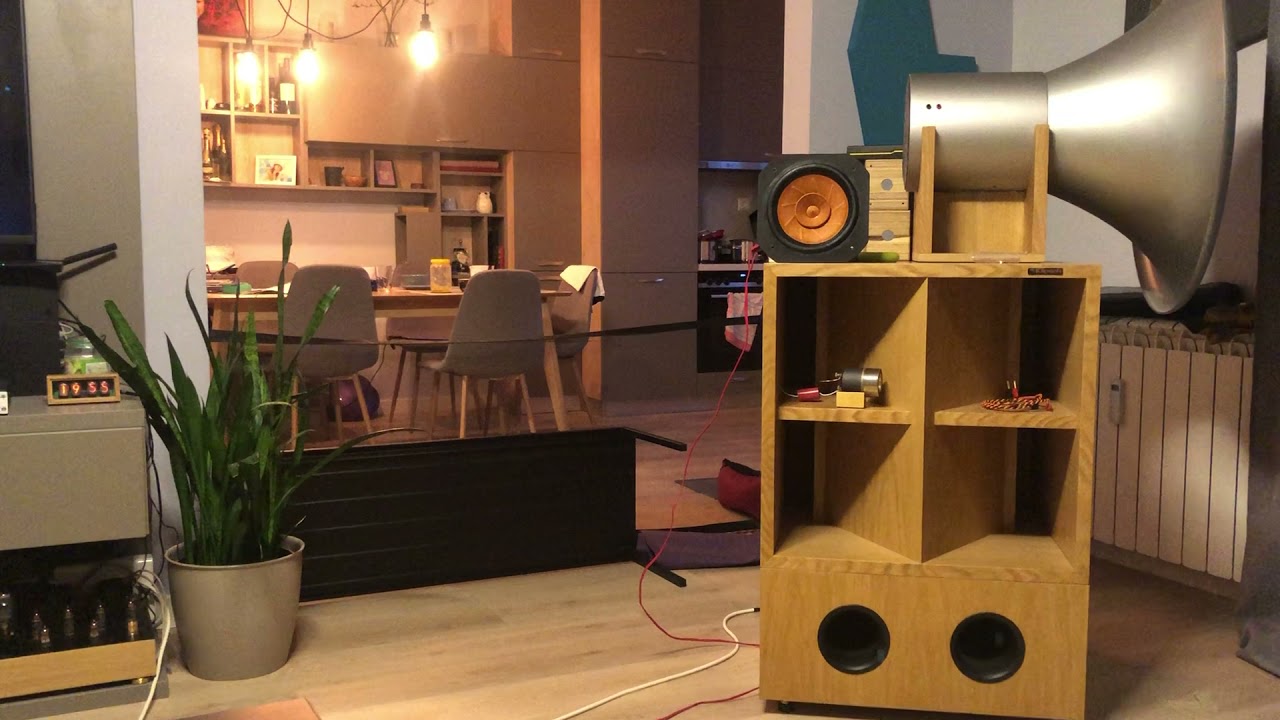 Aurel Bryan fullrange speaker drivers