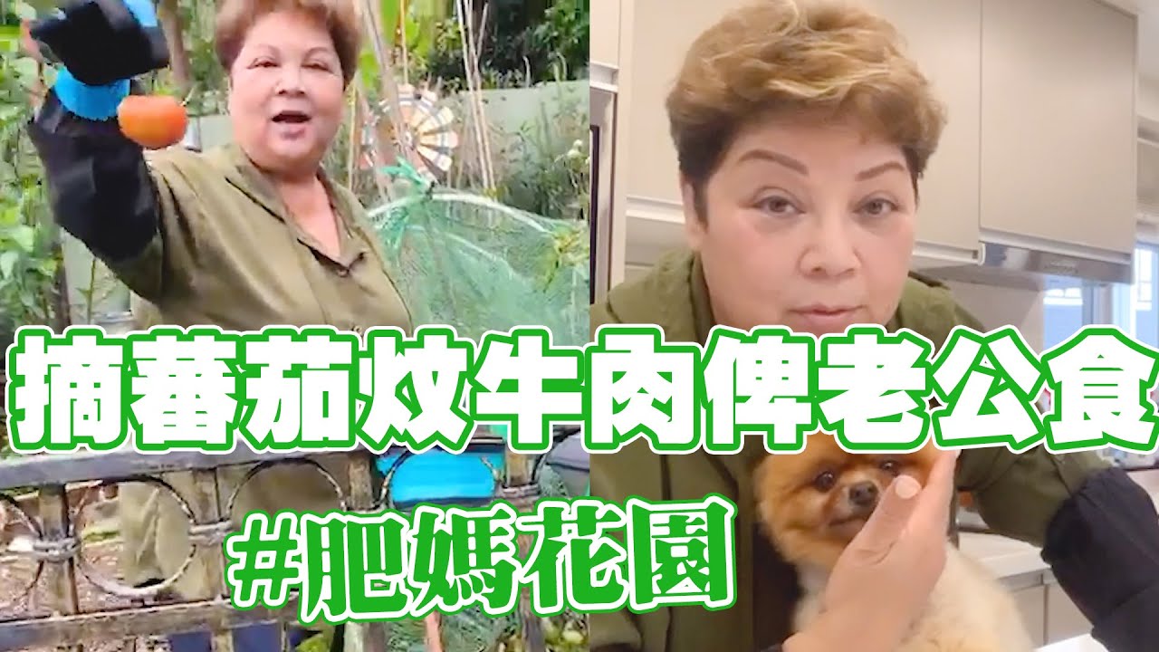 肥媽花園 | 摘蕃茄炆牛肉俾老公食！留喺屋企有微微陪我
