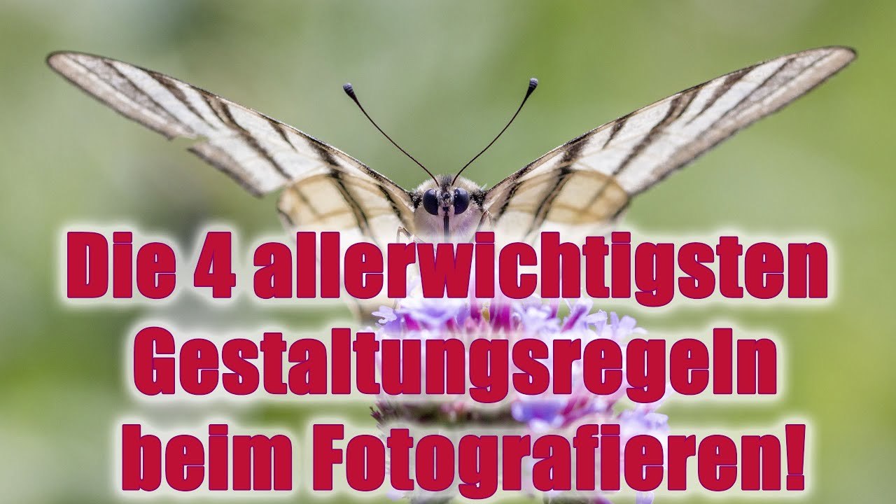 Fotografieren lernen: Die 4 allerwichtigsten Gestaltungsregeln für beeindruckende Fotos