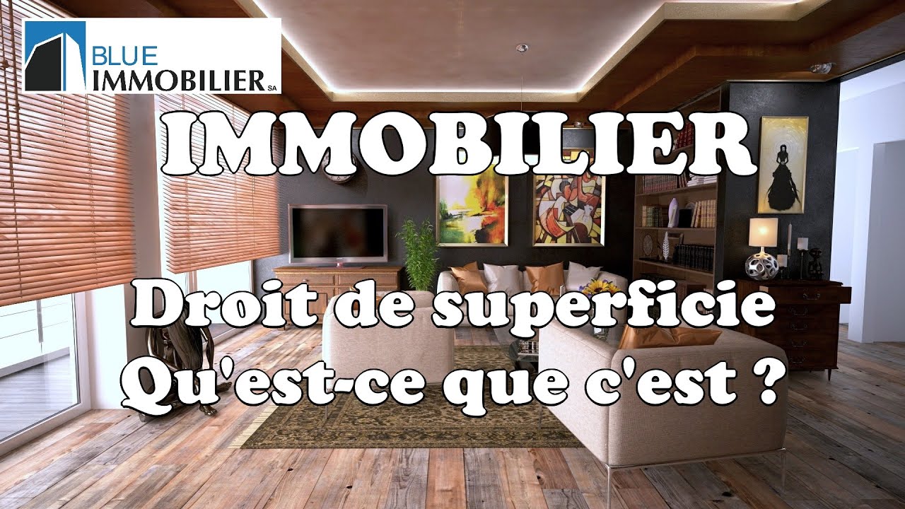 IMMOBILIER: DROIT DE SUPERFICIE (DDP) - QU'EST-CE QUE C'EST?